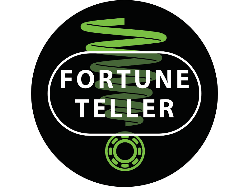 Meet the Fortune Teller